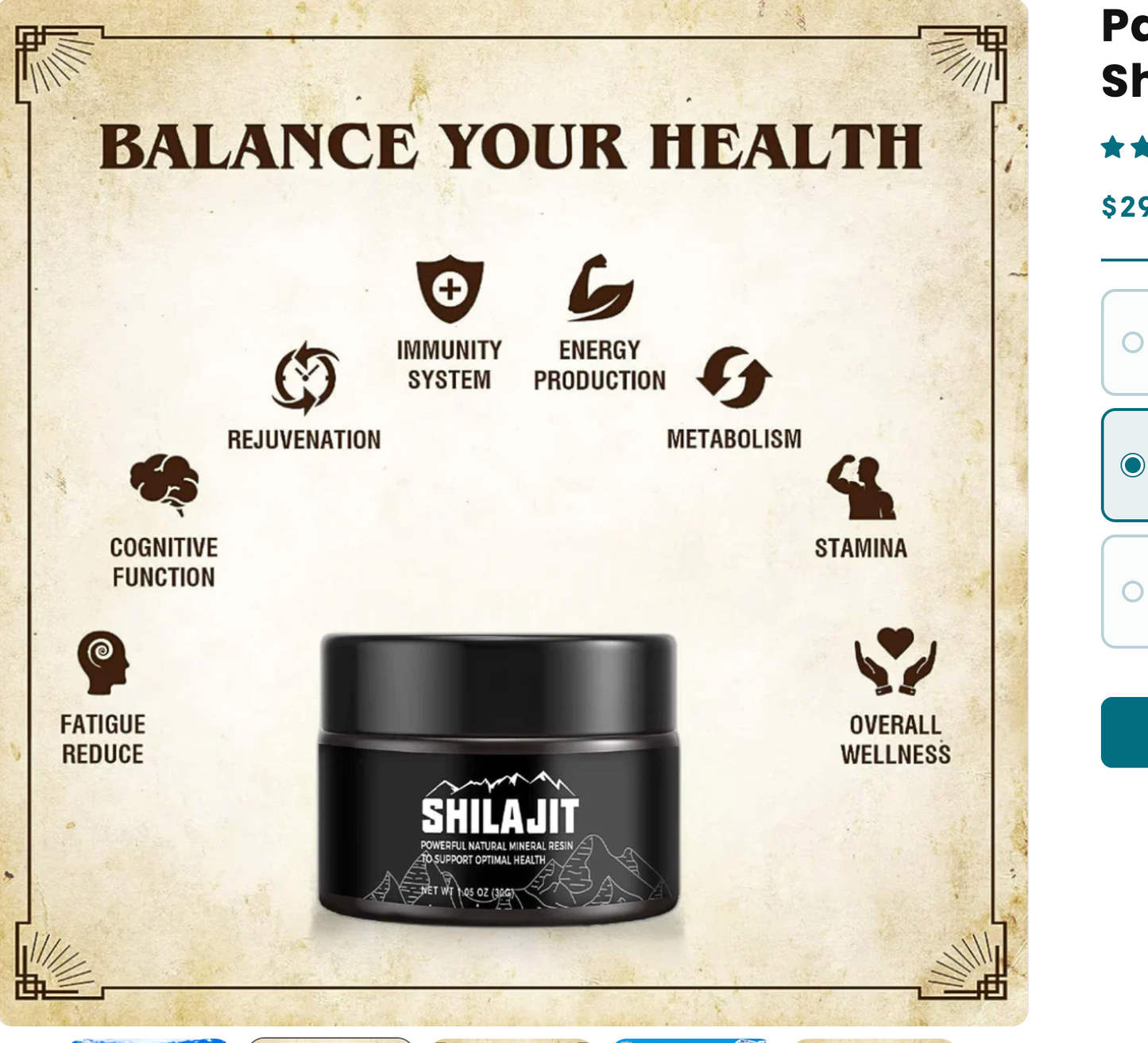 Pure Himalayan Shilajit™